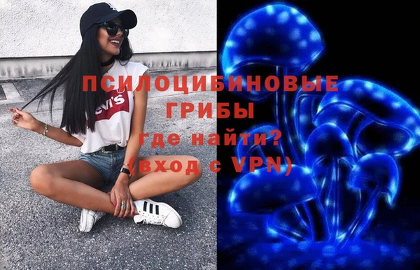 альфа пвп Алексеевка